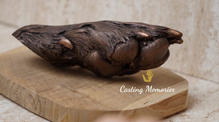 Hondenpootje in brons op hout